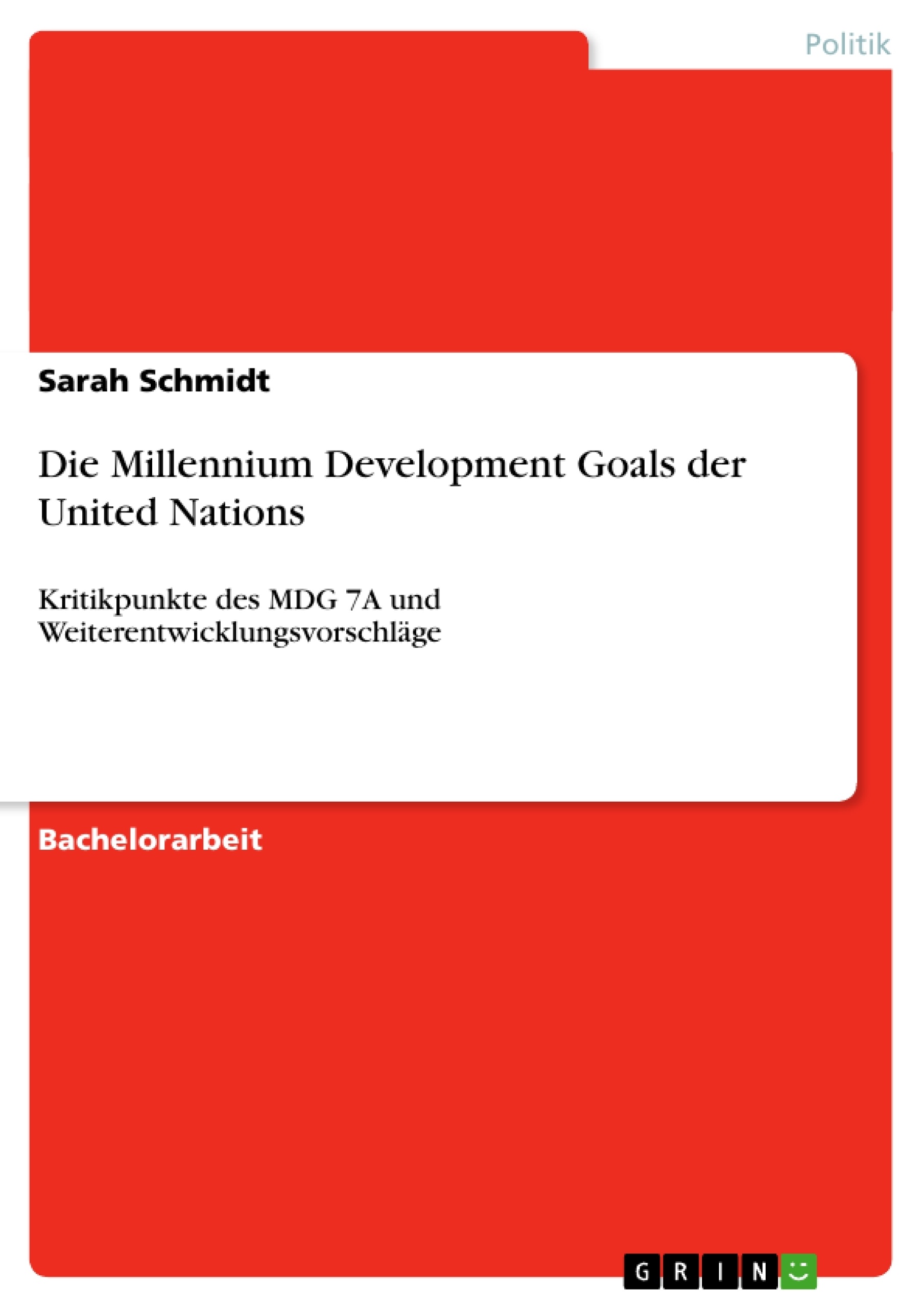 United nations millennium development goal essay