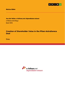 Shareholder value essay