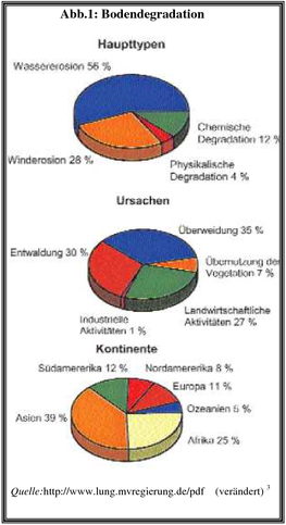 view background lesions in laboratory animals a